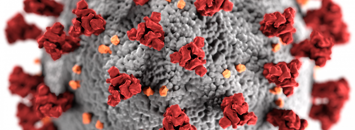 Coronavirus molecule.