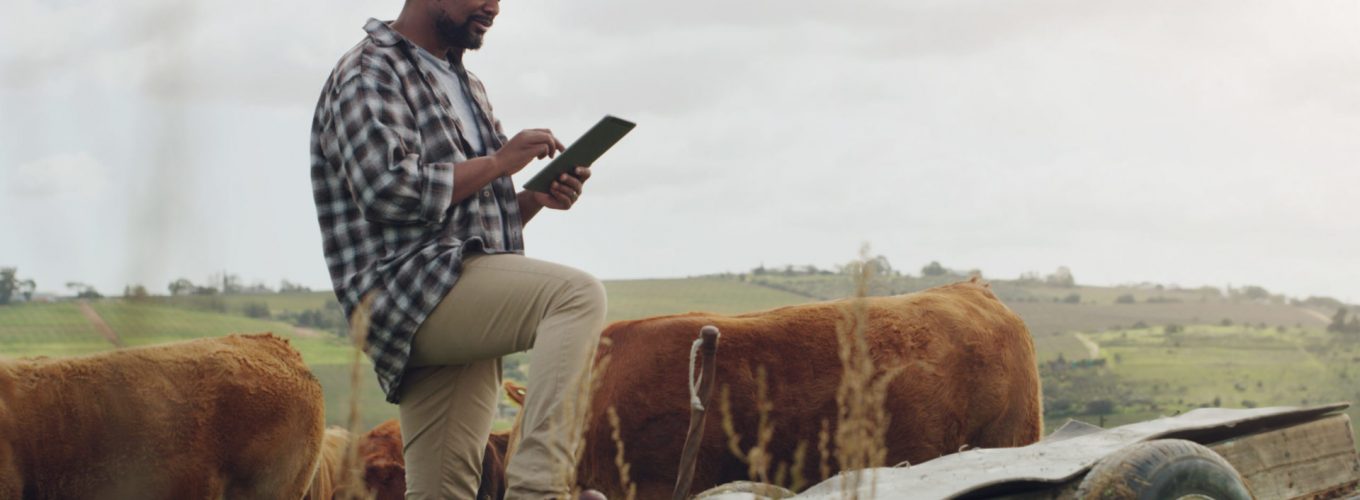 Shot of a mature man using a digital tablet while working on a cow farm